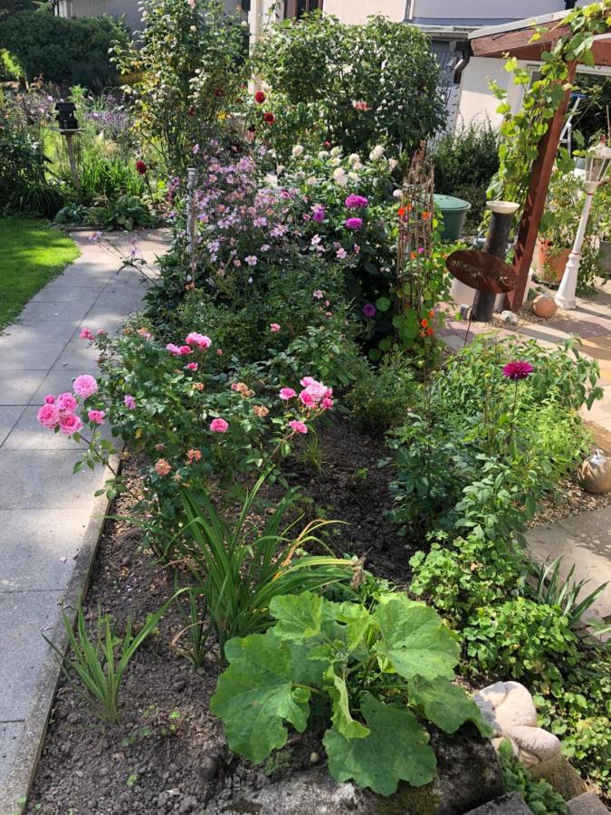 Gartenblick Leichlingen Dış mekan fotoğraf