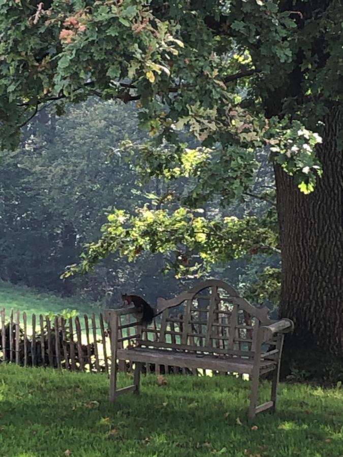 Gartenblick Leichlingen Dış mekan fotoğraf