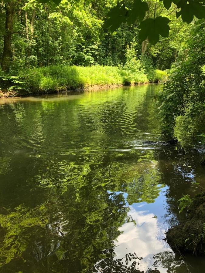 Gartenblick Leichlingen Dış mekan fotoğraf