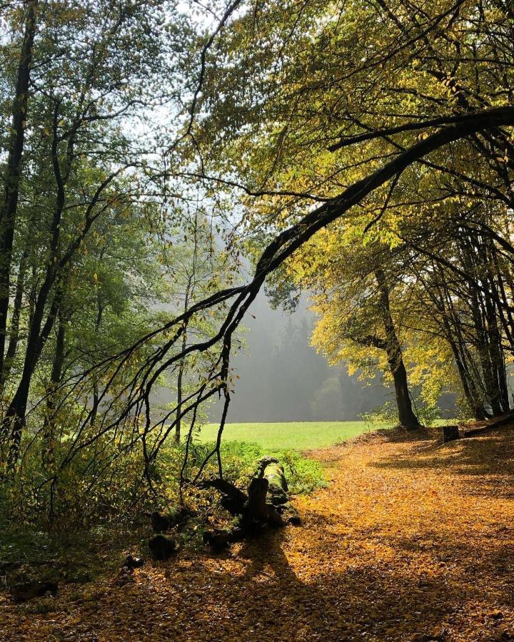 Gartenblick Leichlingen Dış mekan fotoğraf