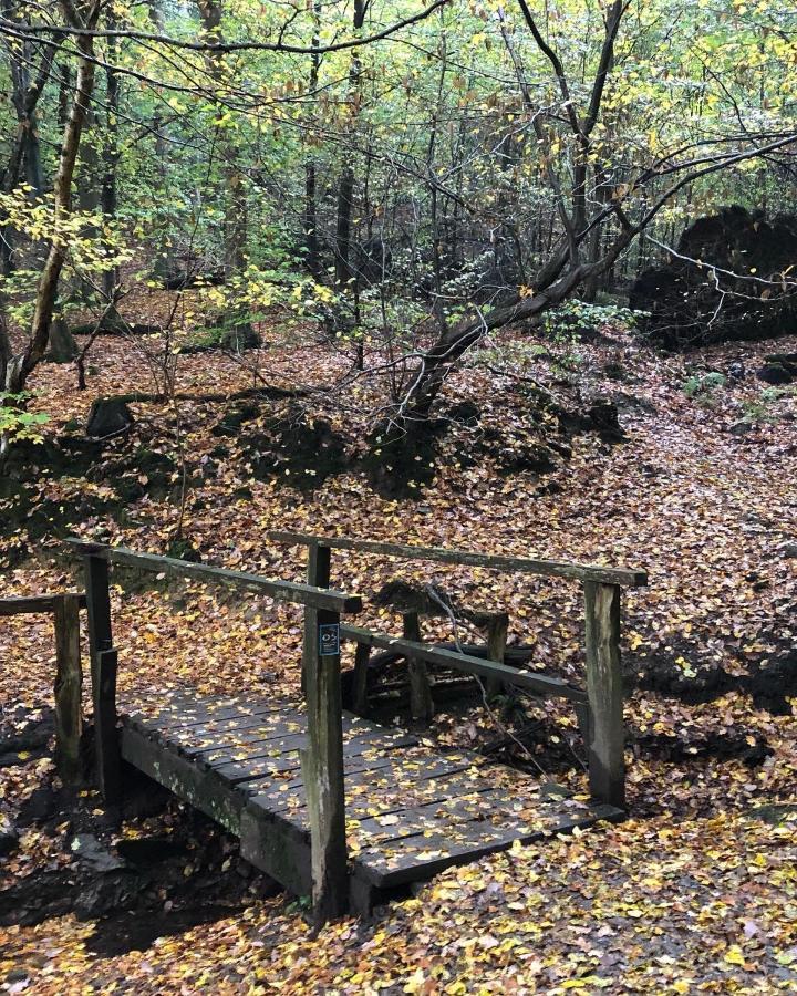 Gartenblick Leichlingen Dış mekan fotoğraf