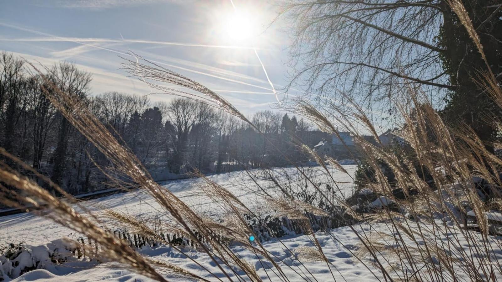 Gartenblick Leichlingen Dış mekan fotoğraf