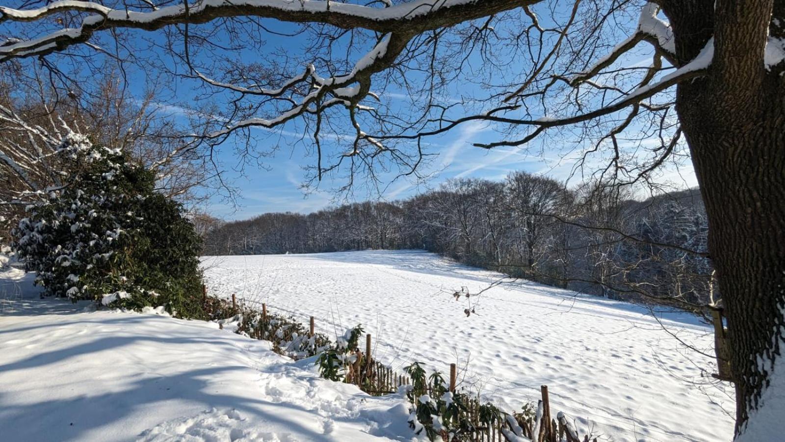 Gartenblick Leichlingen Dış mekan fotoğraf