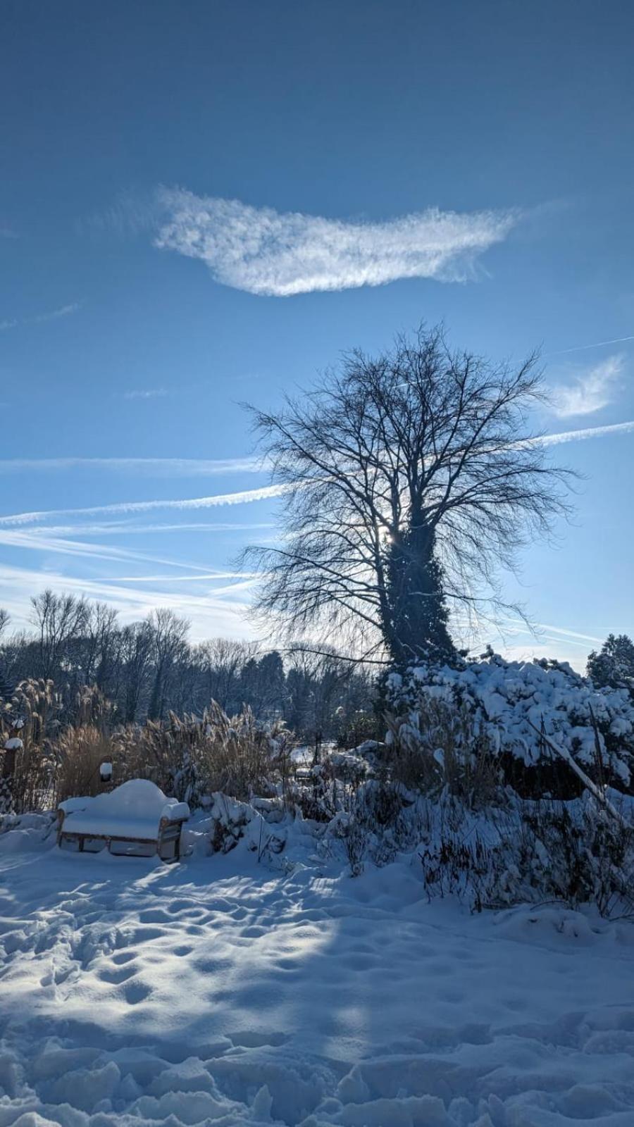 Gartenblick Leichlingen Dış mekan fotoğraf